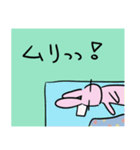 うさ吉の夏（個別スタンプ：16）