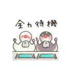 文鳥もどきがいっぱい 【グルメ】（個別スタンプ：18）