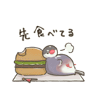 文鳥もどきがいっぱい 【グルメ】（個別スタンプ：34）