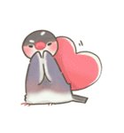 文鳥もどきがいっぱい 【グルメ】（個別スタンプ：37）