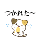 毎日五月病なねこたち 夏スタンプ3（個別スタンプ：7）