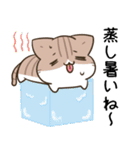 毎日五月病なねこたち 夏スタンプ3（個別スタンプ：10）