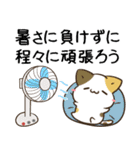 毎日五月病なねこたち 夏スタンプ3（個別スタンプ：11）