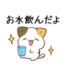 毎日五月病なねこたち 夏スタンプ3（個別スタンプ：23）