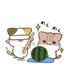 毎日五月病なねこたち 夏スタンプ3（個別スタンプ：38）