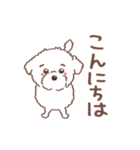 【夏】タフィ・ザ・チワプー2 夏の白い犬（個別スタンプ：3）