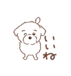 【夏】タフィ・ザ・チワプー2 夏の白い犬（個別スタンプ：5）