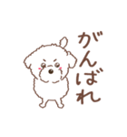 【夏】タフィ・ザ・チワプー2 夏の白い犬（個別スタンプ：6）