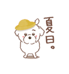 【夏】タフィ・ザ・チワプー2 夏の白い犬（個別スタンプ：9）