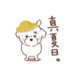 【夏】タフィ・ザ・チワプー2 夏の白い犬（個別スタンプ：10）