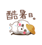 【夏】タフィ・ザ・チワプー2 夏の白い犬（個別スタンプ：12）