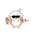 【夏】タフィ・ザ・チワプー2 夏の白い犬（個別スタンプ：19）