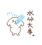 【夏】タフィ・ザ・チワプー2 夏の白い犬（個別スタンプ：25）