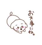 【夏】タフィ・ザ・チワプー2 夏の白い犬（個別スタンプ：26）