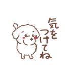 【夏】タフィ・ザ・チワプー2 夏の白い犬（個別スタンプ：27）