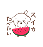 【夏】タフィ・ザ・チワプー2 夏の白い犬（個別スタンプ：29）
