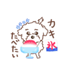 【夏】タフィ・ザ・チワプー2 夏の白い犬（個別スタンプ：30）