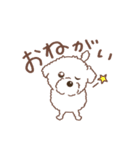 【夏】タフィ・ザ・チワプー2 夏の白い犬（個別スタンプ：34）