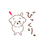 【夏】タフィ・ザ・チワプー2 夏の白い犬（個別スタンプ：35）