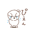 【夏】タフィ・ザ・チワプー2 夏の白い犬（個別スタンプ：38）