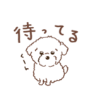 【夏】タフィ・ザ・チワプー2 夏の白い犬（個別スタンプ：40）