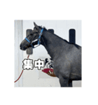 シラカワノセキ（個別スタンプ：6）