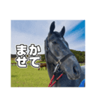 シラカワノセキ（個別スタンプ：7）