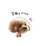 ミミィちゃん♡エマちゃんデフォルメ（個別スタンプ：6）