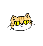 なんともいえない猫達（個別スタンプ：1）