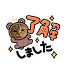 にゃんこのコスプレ①（個別スタンプ：3）