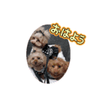 kiran⑤（個別スタンプ：1）