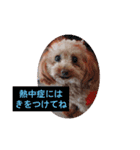 kiran⑤（個別スタンプ：5）