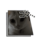 はろり①（個別スタンプ：7）