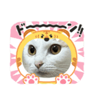 はろり①（個別スタンプ：8）