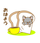 【犬屋】うちの子一番(チワワ)③（個別スタンプ：1）
