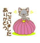 【犬屋】うちの子一番(チワワ)③（個別スタンプ：11）