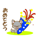【犬屋】うちの子一番(チワワ)③（個別スタンプ：13）