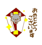 【犬屋】うちの子一番(チワワ)③（個別スタンプ：14）