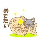 【犬屋】うちの子一番(チワワ)③（個別スタンプ：15）