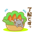 【犬屋】うちの子一番(チワワ)③（個別スタンプ：17）