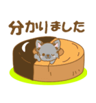 【犬屋】うちの子一番(チワワ)③（個別スタンプ：19）