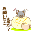 【犬屋】うちの子一番(チワワ)③（個別スタンプ：23）