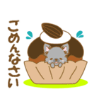 【犬屋】うちの子一番(チワワ)③（個別スタンプ：25）