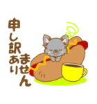 【犬屋】うちの子一番(チワワ)③（個別スタンプ：27）