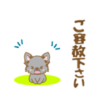 【犬屋】うちの子一番(チワワ)③（個別スタンプ：28）