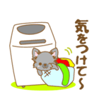 【犬屋】うちの子一番(チワワ)③（個別スタンプ：40）