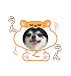 祐靜くんスタンプ8（個別スタンプ：3）