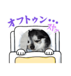 祐靜くんスタンプ8（個別スタンプ：4）