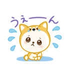 うるうる わんちゃん①（個別スタンプ：5）