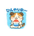 三毛猫マロン夏スィーツスタンプ（個別スタンプ：1）